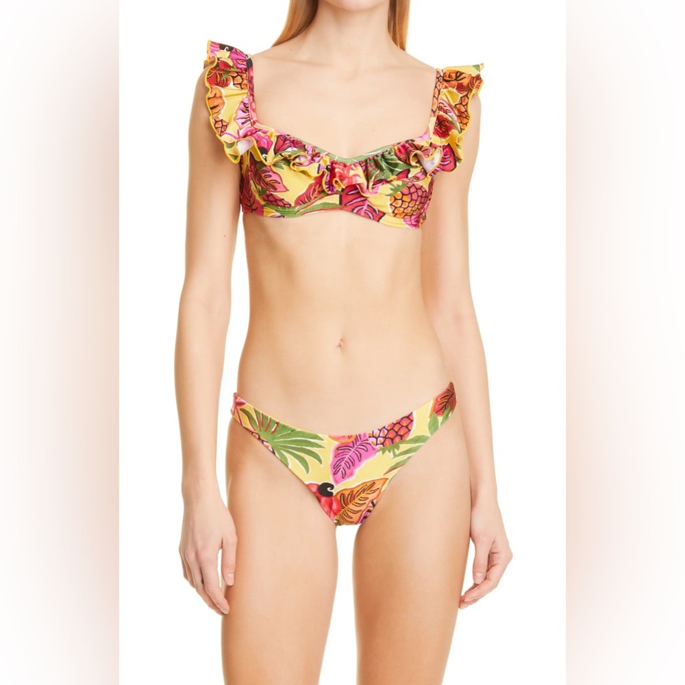 NWT Fruit Dream Ruffle Bikini Top and Bottom